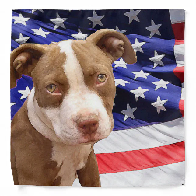 American Pitbull Terrier pup Bandana