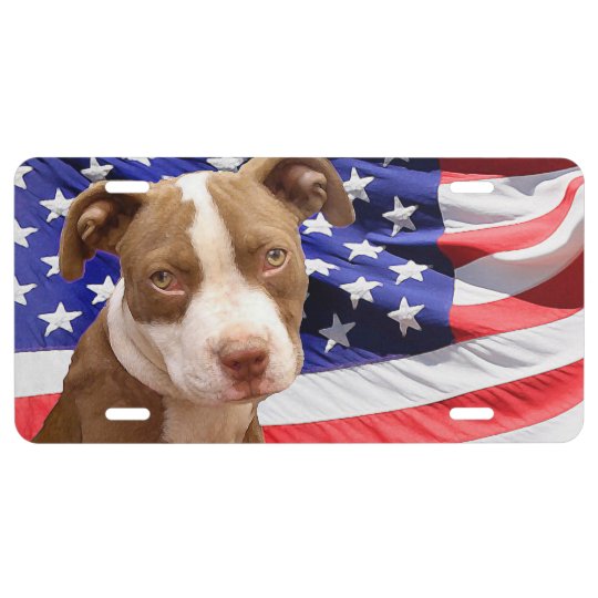 American Pitbull Terrier pup License Plate | Zazzle.com