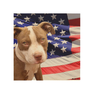 Pitbull Wall Art pit bull wood wall art | zazzle Pitbull Wall Art pit bull wood wall art | zazzle