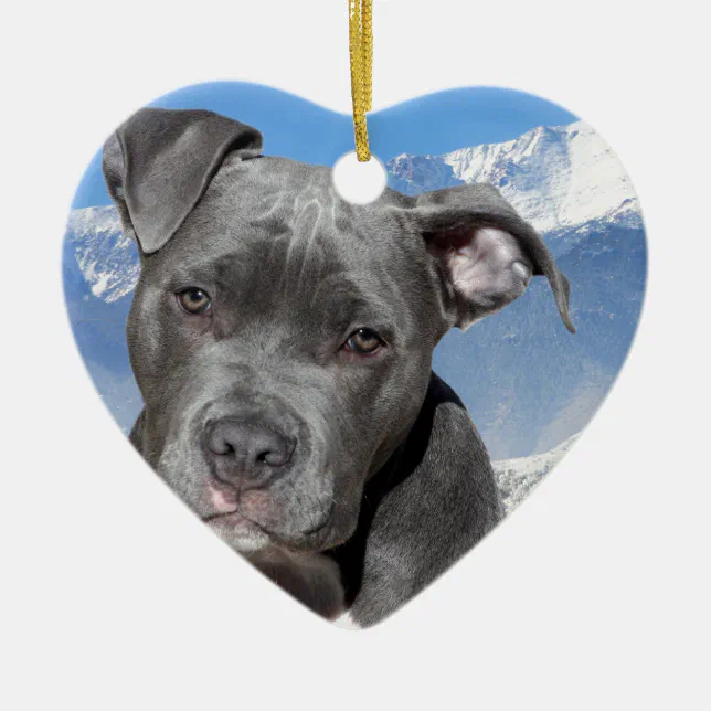 American Pitbull Terrier Puppy Dog Ceramic Ornament Zazzle
