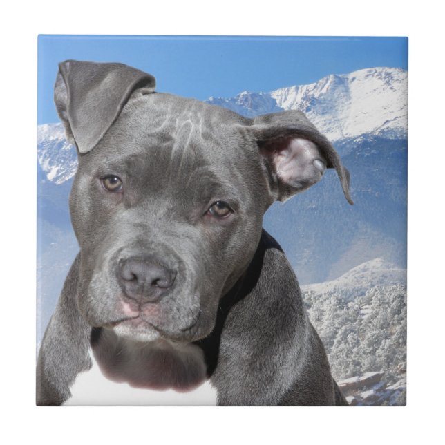 American Pitbull Terrier Puppy Dog Ceramic Tile (Front)
