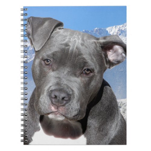 American Pitbull Terrier Puppy Dog Notebook