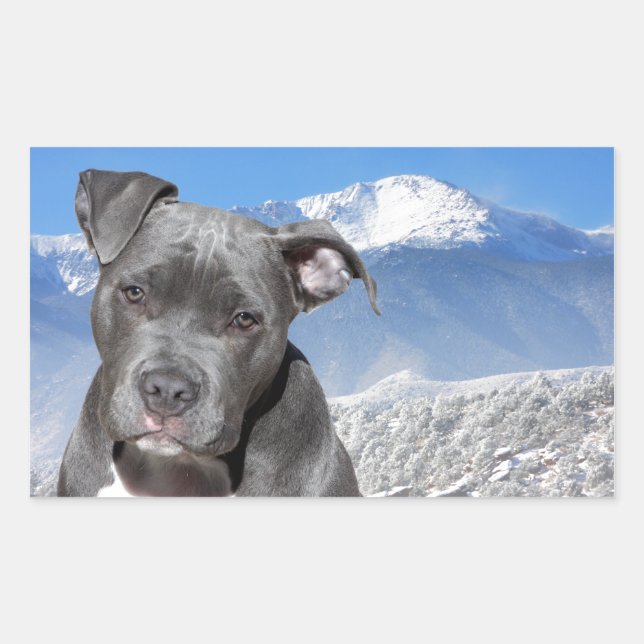 American Pitbull Terrier Puppy Dog Rectangular Sticker (Front)