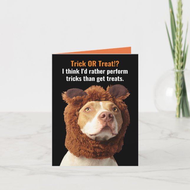 American Pitbull Trick or Treat Halloween Humor  C Card (Front)