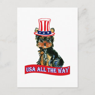 American Poo Postcard