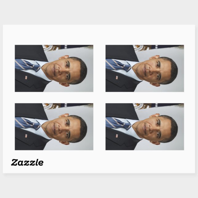 American President Barack Obama at White House  Rectangular Sticker (Sheet)