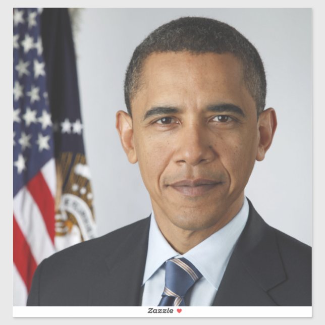 American President Barack Obama at White House  Sticker (Sheet)