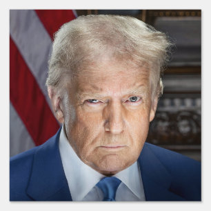 American President Donald Trump Photo 2025 Sign