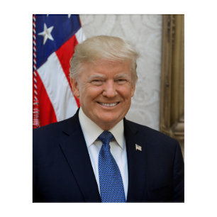 American President Donald Trump White House Acrylic Print