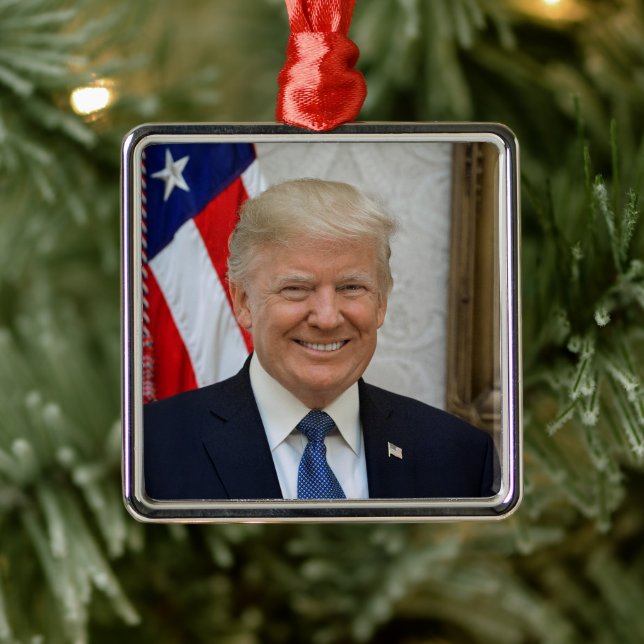 American President Donald Trump White House Metal Ornament (Tree)