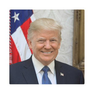 American President Donald Trump White House Metal Print