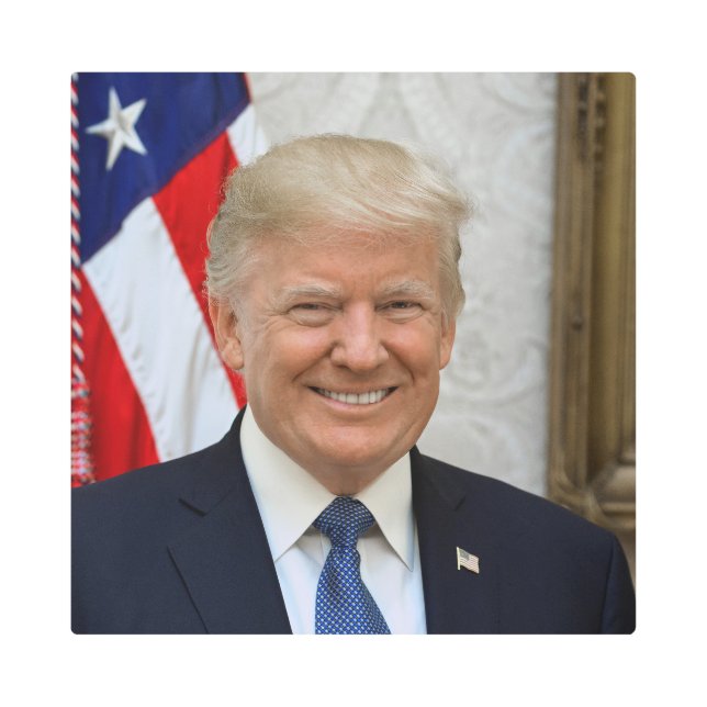 American President Donald Trump White House Metal Print (Front)