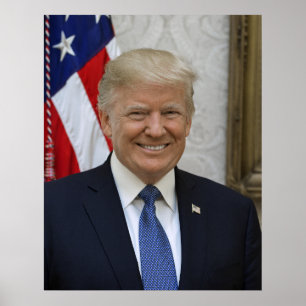 American President Donald Trump White House Poster