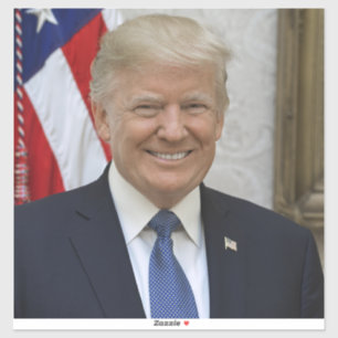 American President Donald Trump White House Sticker