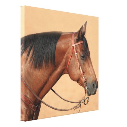 American quarter horse canvas print