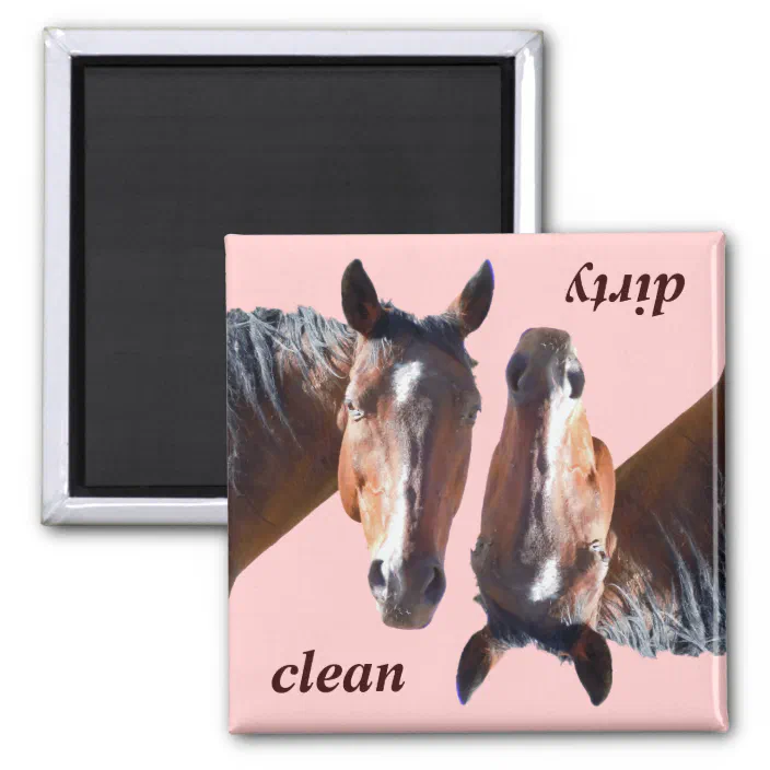 Crazy horse magnet horse lover fridge magnets kitchen cowgirl Birthday