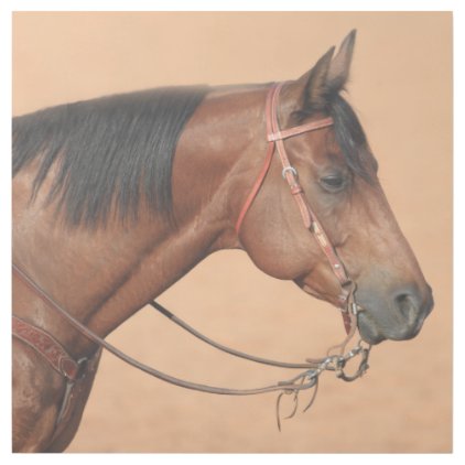 American quarter horse gallery wrap