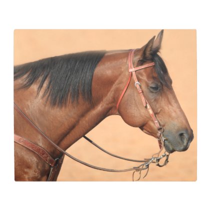 American quarter horse metal print