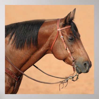 American quarter horse poster