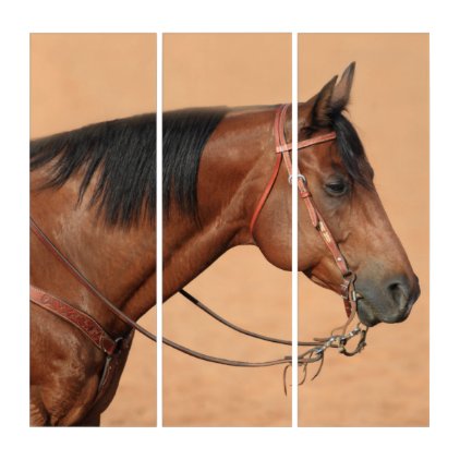 American quarter horse triptych