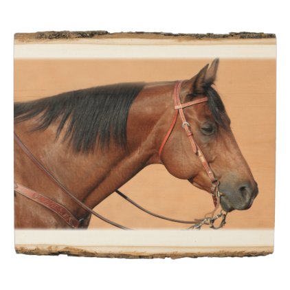 American quarter horse wood panel