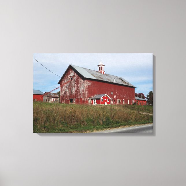 American Red Canvas Print (Front)
