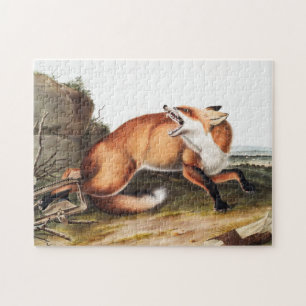 American Red Fox (Vulpes Fulvus) Illustration Jigsaw Puzzle