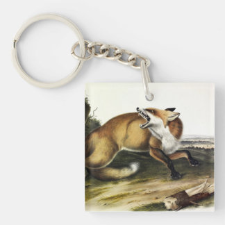 American Red Fox, Vulpes vulpes fulvus by Audubon Keychain
