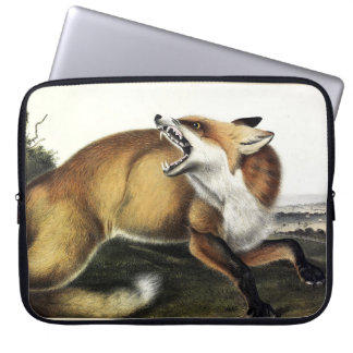 American Red Fox, Vulpes vulpes fulvus by Audubon Laptop Sleeve