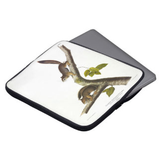 American Red Squirrel (Richardson's Columbian) Laptop Sleeve