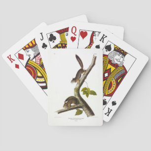 American Red Squirrel (Richardson's Columbian) Poker Cards