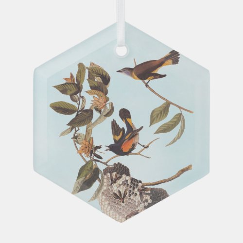 American Redstart Audubon Birds and Wasp Nest Glass Ornament