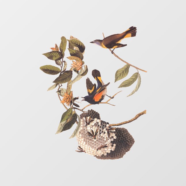 American Redstart Audubon Birds and Wasp Nest Window Cling (Sheet)