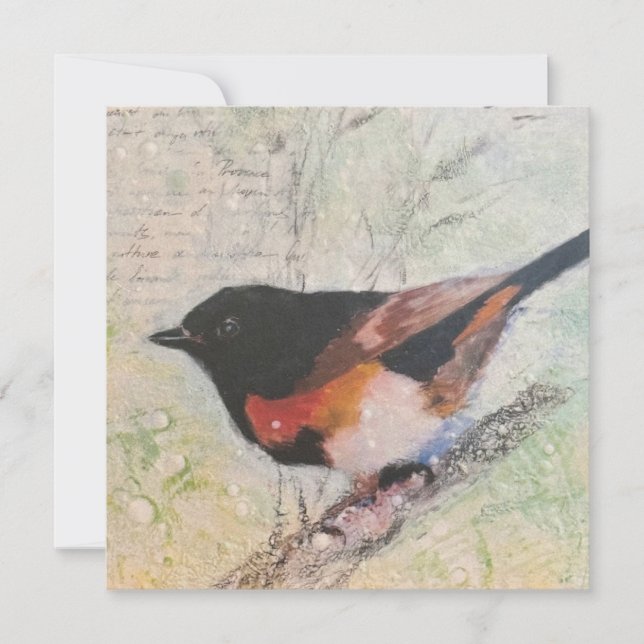 American Redstart Greeting Card (Front)