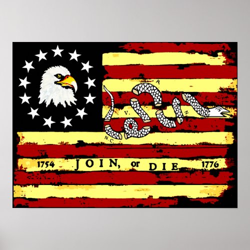 American Revolutionary Flag Poster