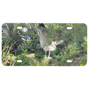 American Roadrunner in the Arizona Desert License Plate