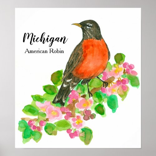 American Robin Apple Blossom Michigan Poster