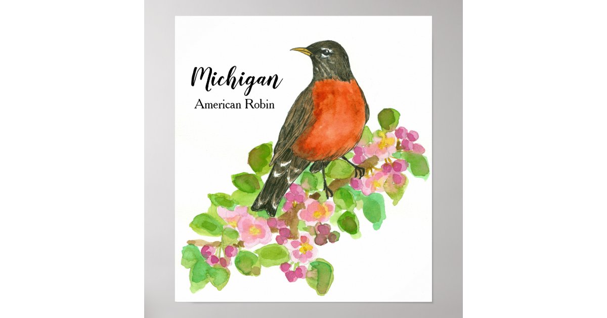 American Robin Apple Blossom Michigan Poster | Zazzle