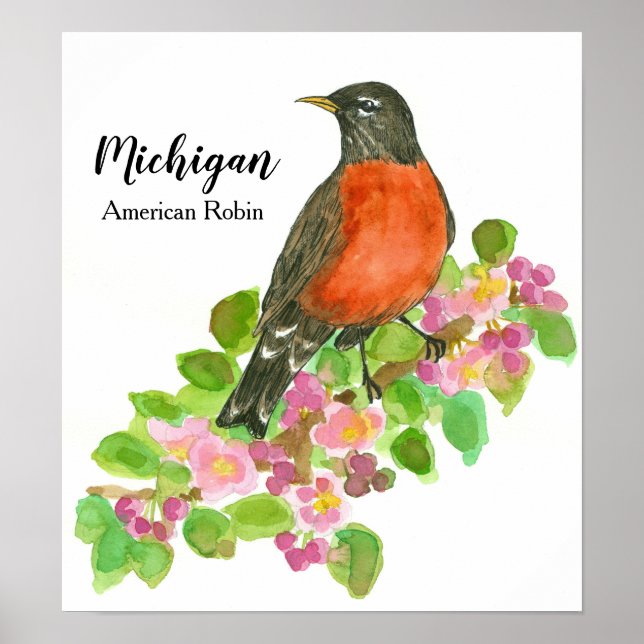 American Robin Apple Blossom Michigan Poster (Front)