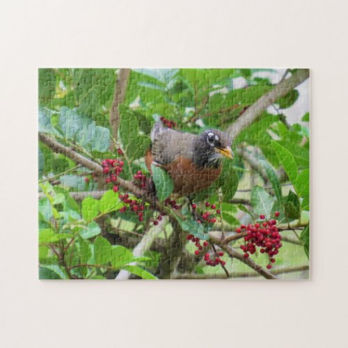 American Robin _ Backyard Bird Series _ Puzzle