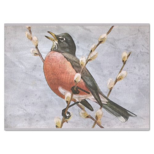 American Robin Bird Decoupage Tissue Paper