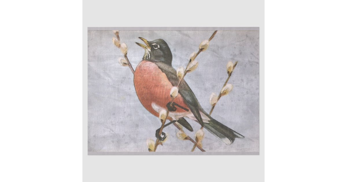 American Robin Bird Decoupage Tissue Paper | Zazzle