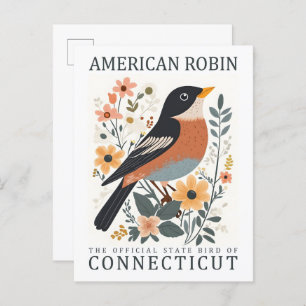 American Robin Bird of Connecticut USA Travel Postcard