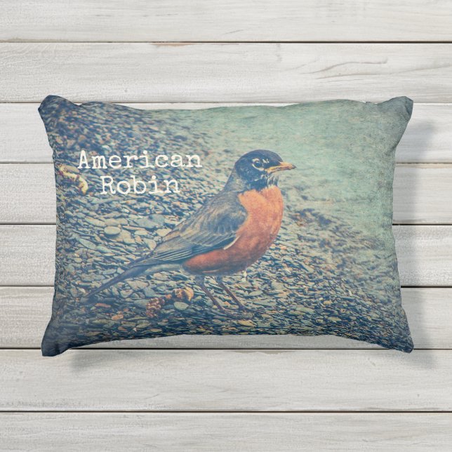 American Robin Bird Outdoor Accent Pillow (Front)
