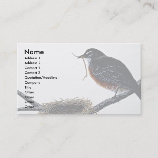 Customizable American robin building a nest business cards