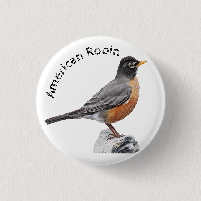 American Robin Button (Front)
