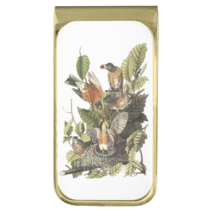 American Robin by Audubon Gold Finish Money Clip
