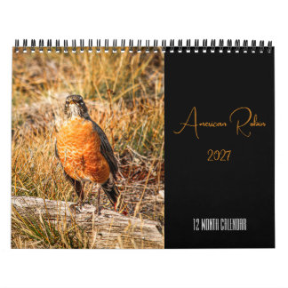 American Robin Calendar 2027