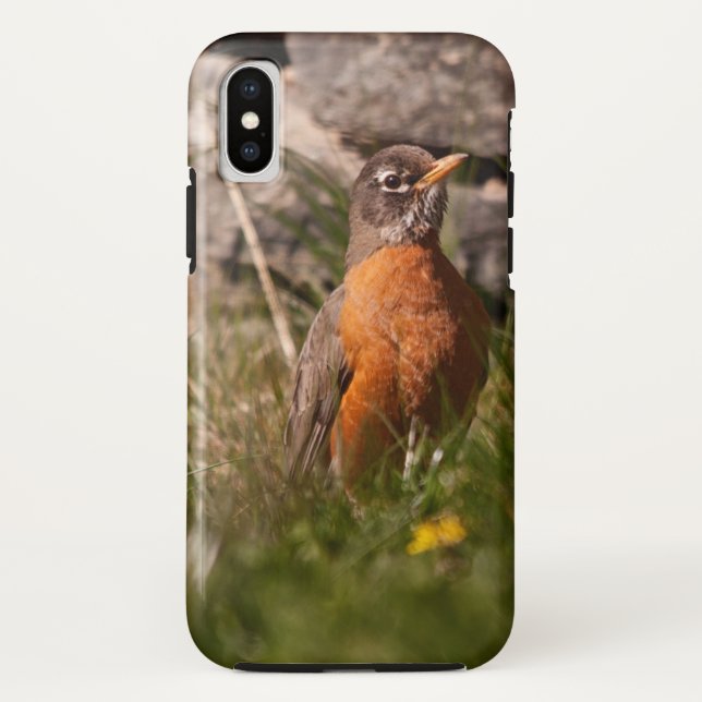 American Robin Case-Mate iPhone Case (Back)