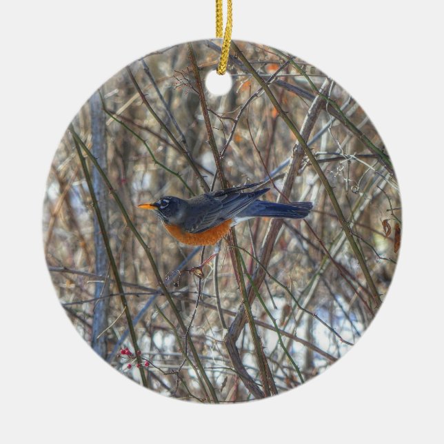 American Robin  Ceramic Ornament (Front)